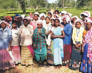 Quiver full of arrows